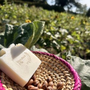 Natural argan soap-cold process